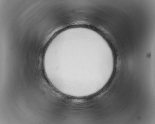 X0000113091313200910091247