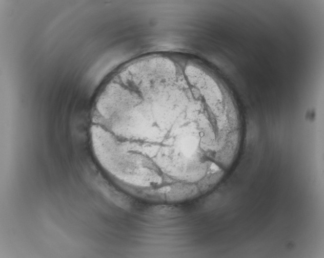 X0000113091314200910091247