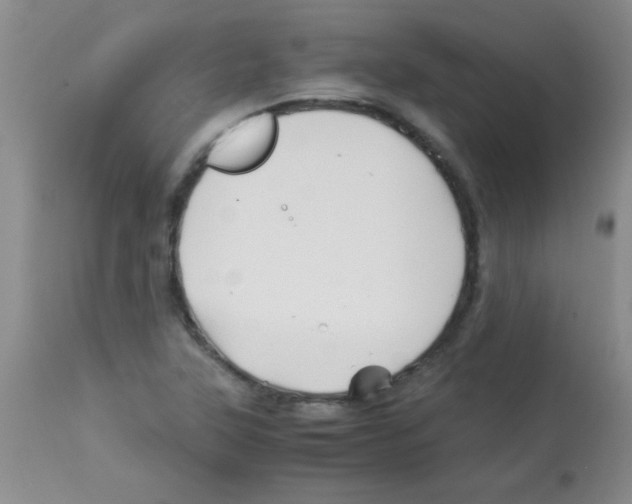 X0000113091315200910091247