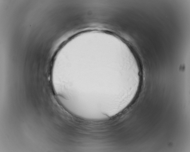 X0000113091318200910091247