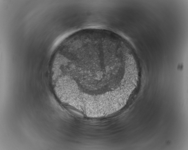X0000113091319200910091247