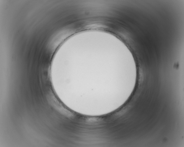 X0000113091322200910091247