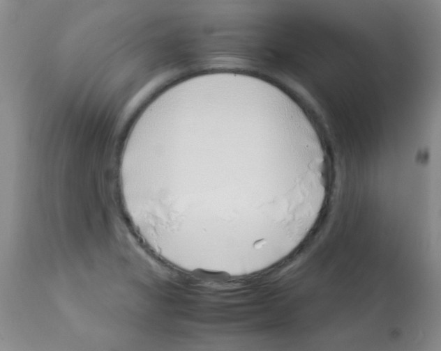 X0000113091325200910091247