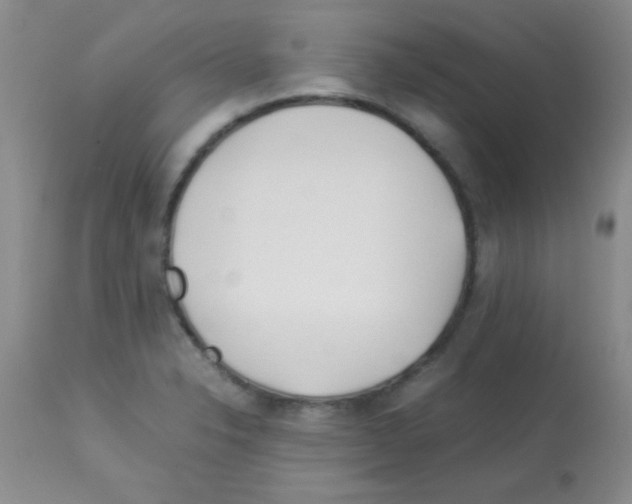 X0000113091326200910091247