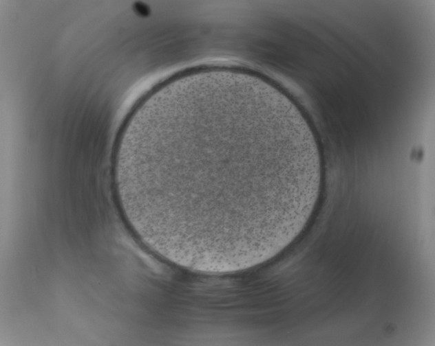 X0000113091327200910091247