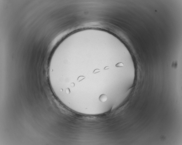 X0000113091328200910091248