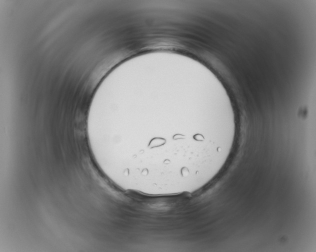 X0000113091329200910091248