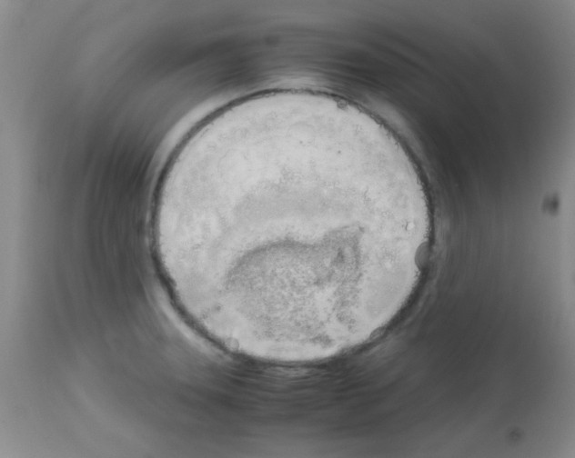 X0000113091331200910091248