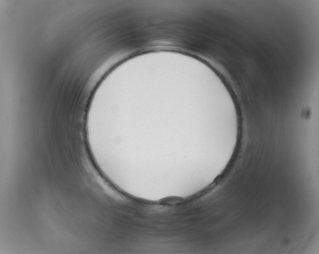 X0000113091333200910091248