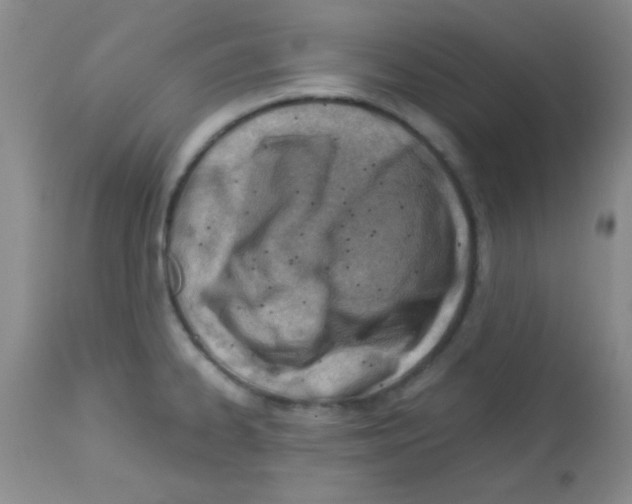 X0000113091334200910091248