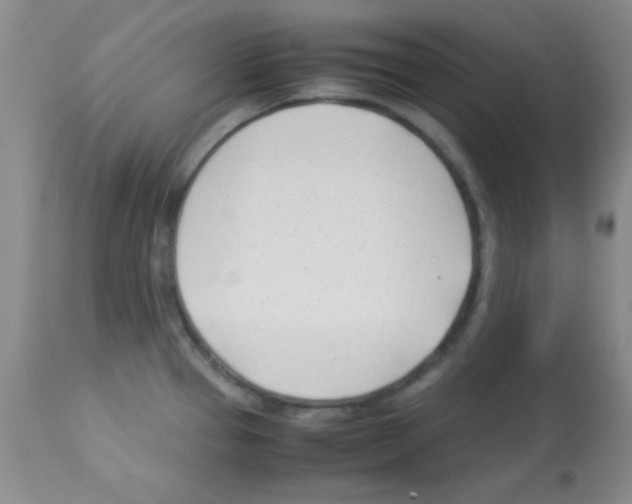 X0000113091337200910091248