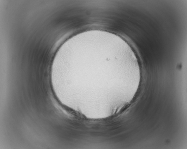 X0000113091341200910091248