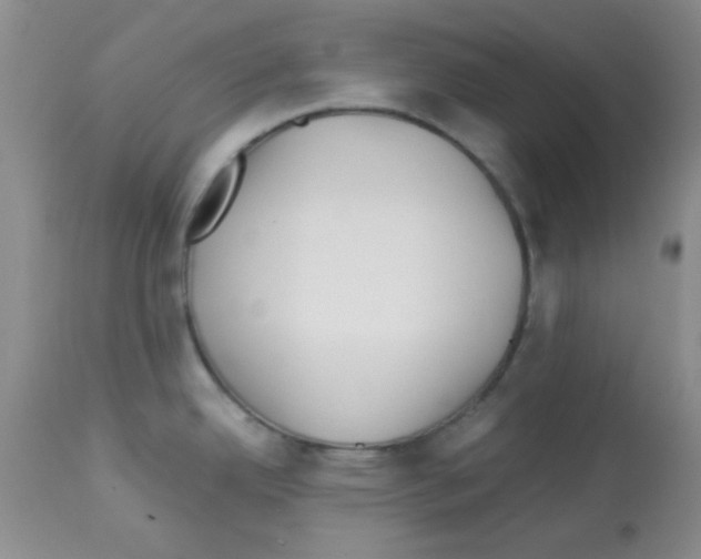 X0000113091342200910091248