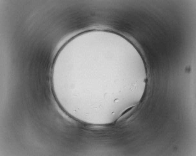 X0000113091343200910091248
