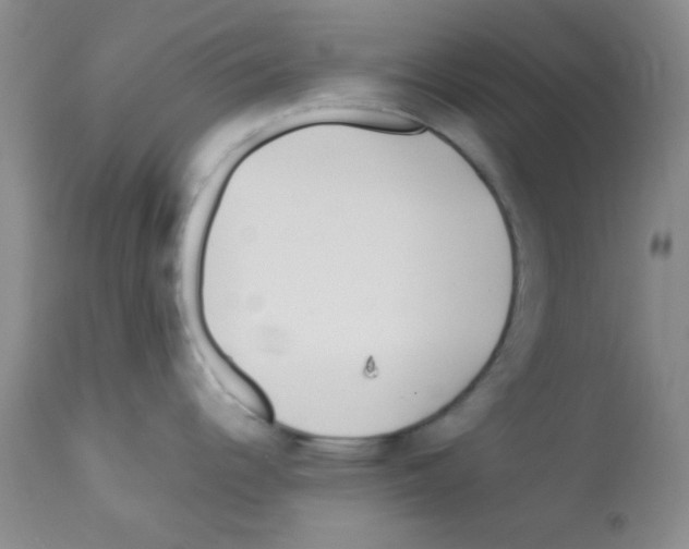 X0000113091344200910091248