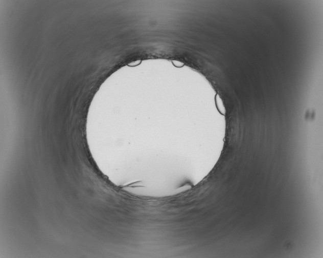 X0000113091345200910091247