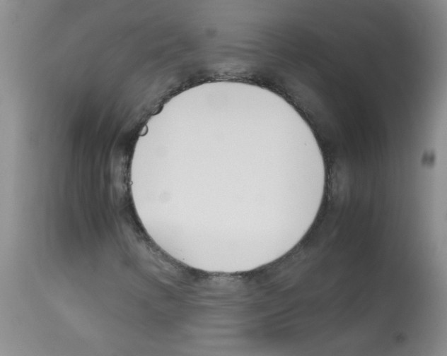 X0000113091346200910091247