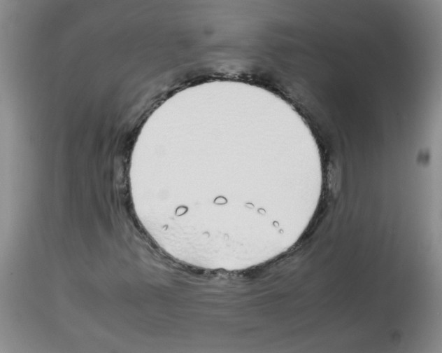 X0000113091347200910091247