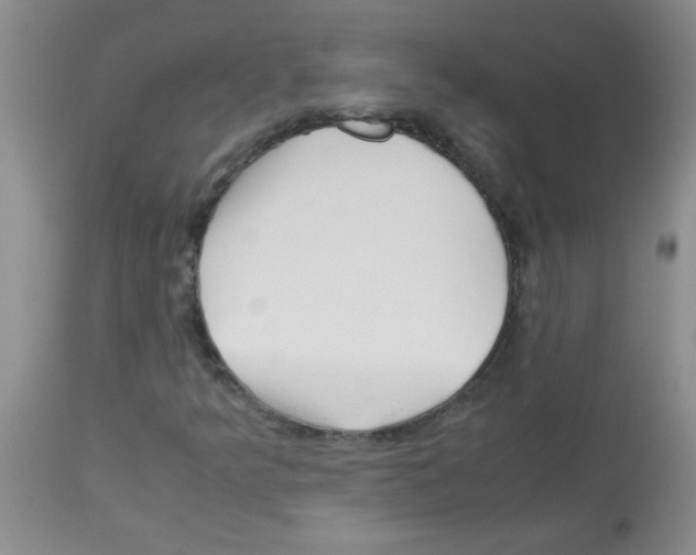 X0000113091349200910091247