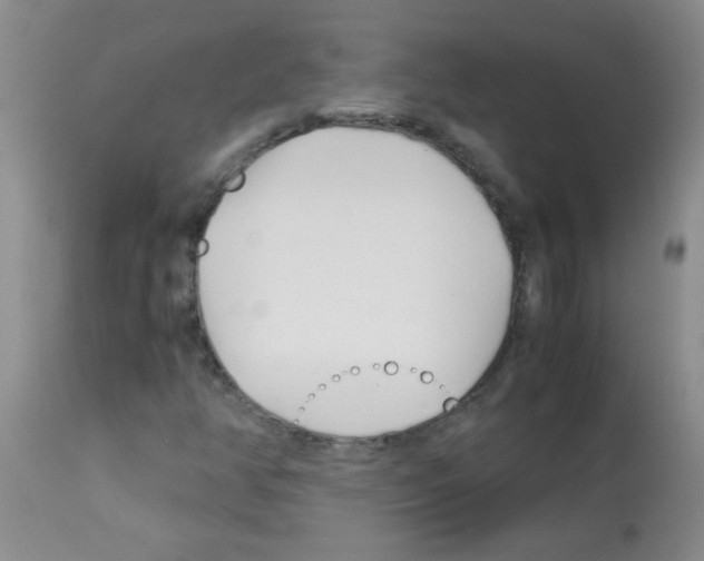 X0000113091350200910091247