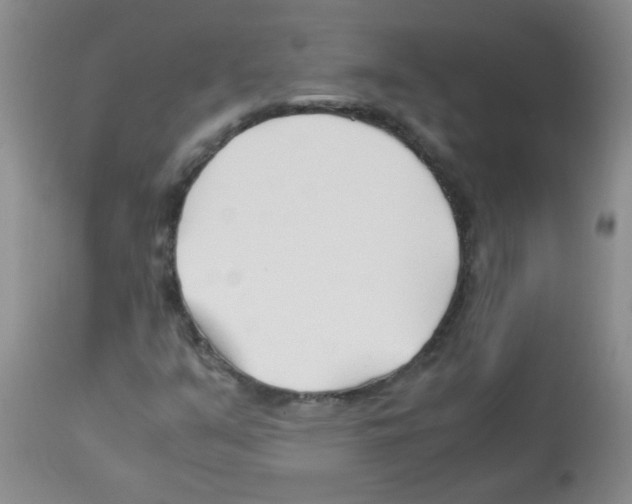 X0000113091351200910091247