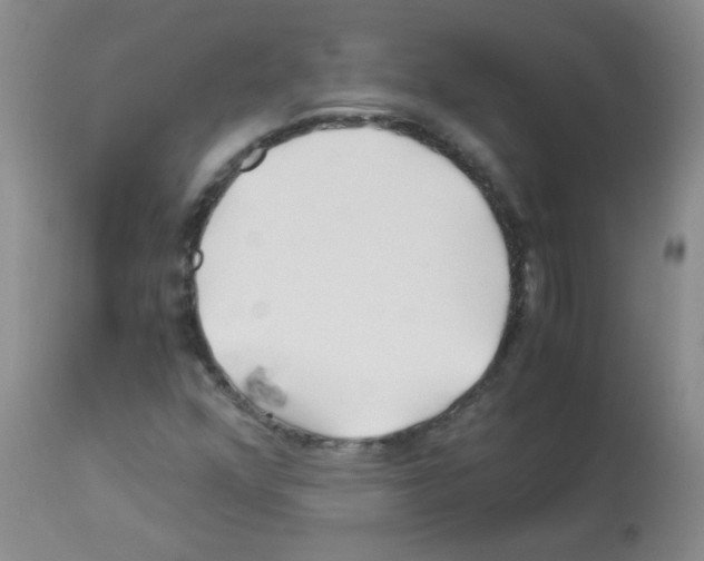 X0000113091352200910091247