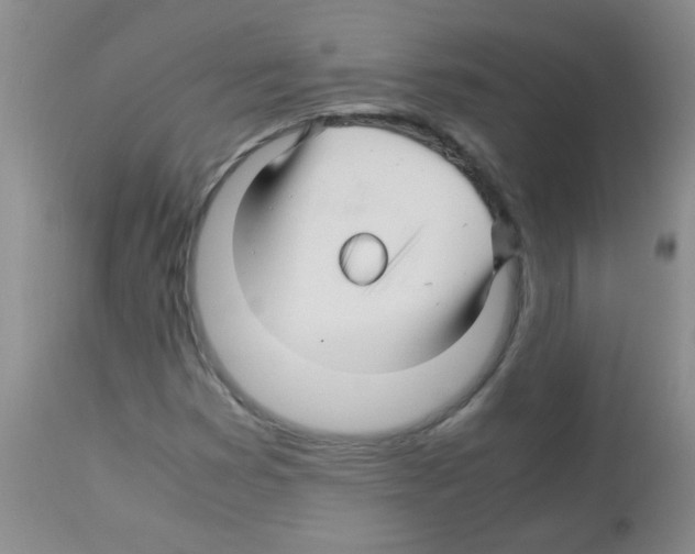 X0000113091353200910091247