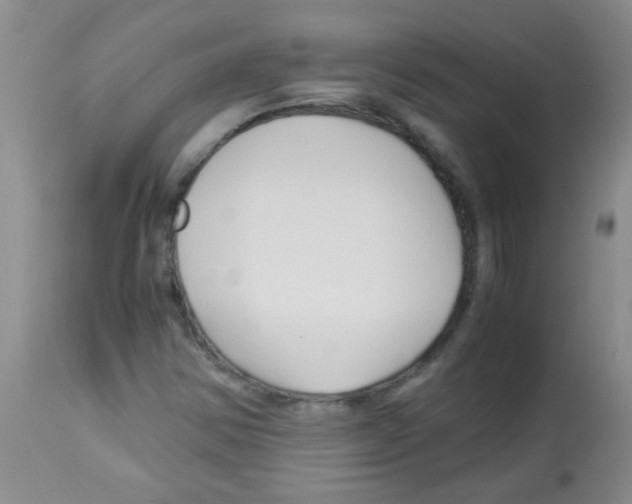 X0000113091354200910091247