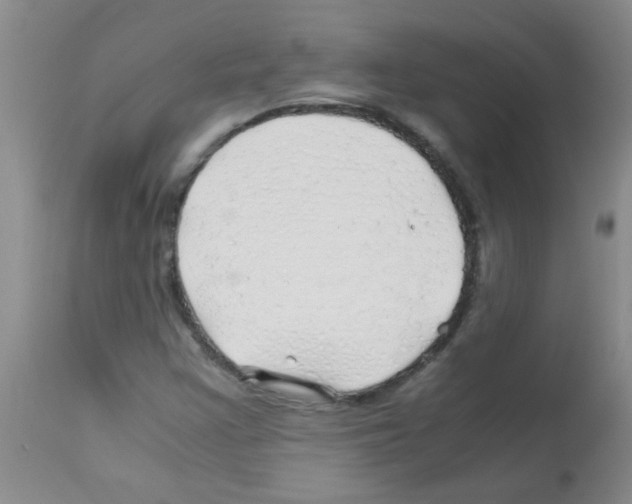 X0000113091355200910091247