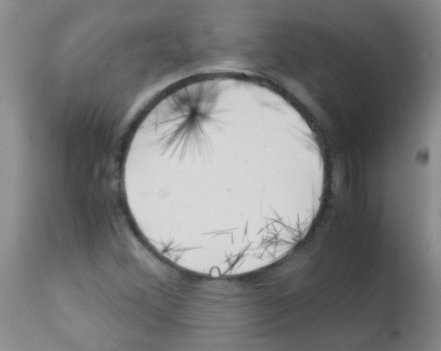 X0000113091356200910091247
