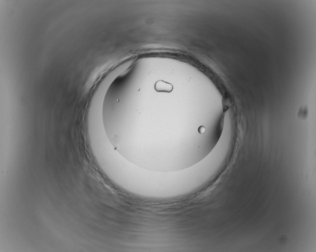 X0000113091357200910091247
