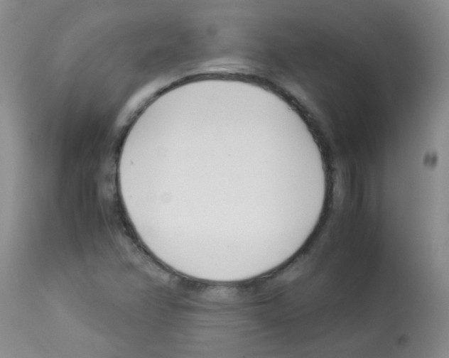 X0000113091358200910091247