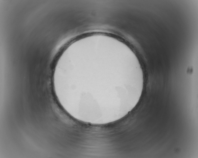 X0000113091360200910091247