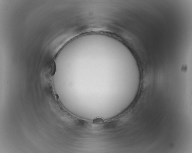 X0000113091361200910091247