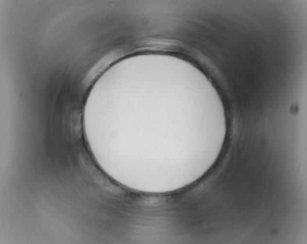 X0000113091362200910091246