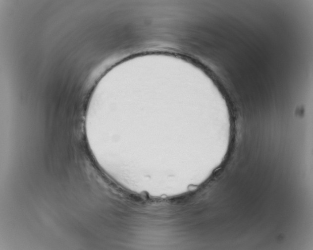 X0000113091363200910091246
