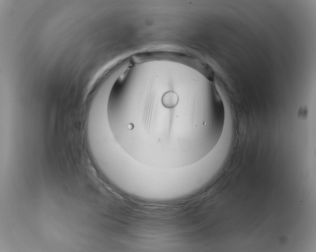 X0000113091364200910091246