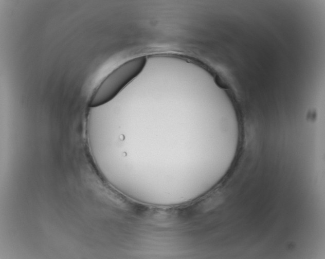 X0000113091365200910091246