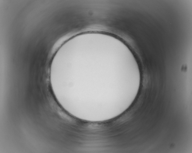 X0000113091366200910091246