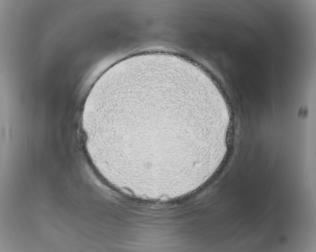 X0000113091367200910091246