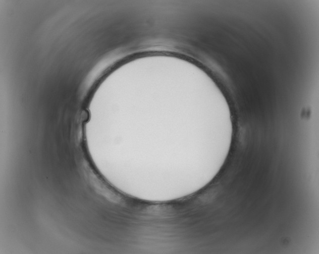 X0000113091368200910091246