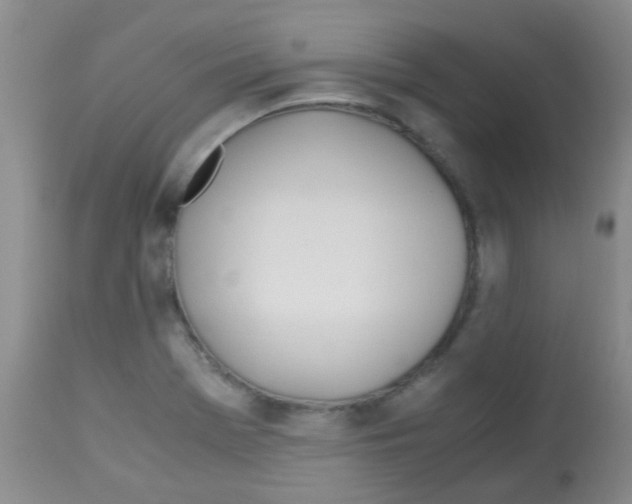 X0000113091369200910091246