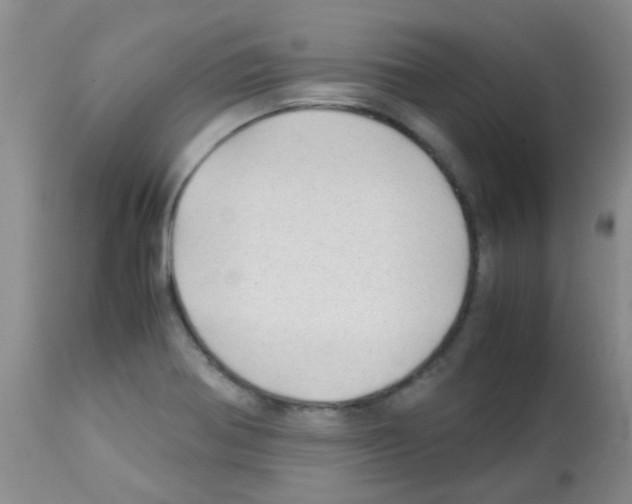 X0000113091370200910091246