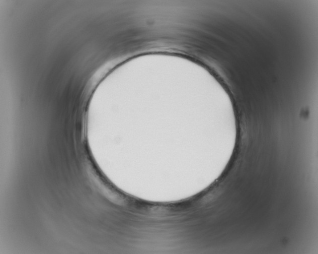 X0000113091371200910091246