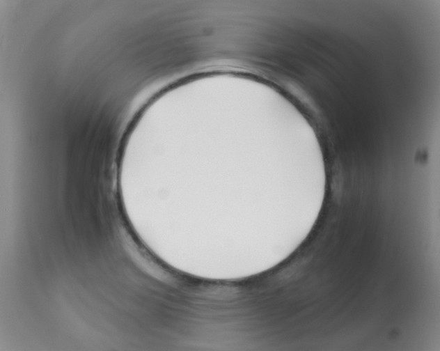 X0000113091372200910091246