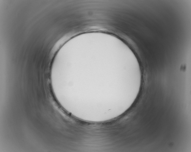 X0000113091373200910091246