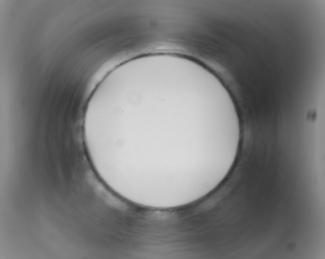 X0000113091374200910091246
