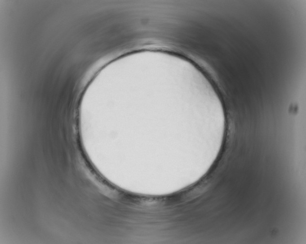 X0000113091375200910091246