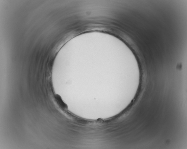 X0000113091377200910091246