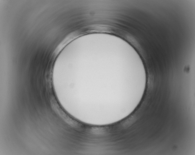X0000113091378200910091246